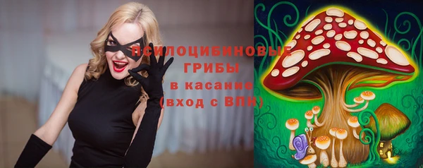 тгк Алексеевка