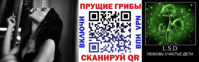 дарнет шоп  ссылка на мегу как зайти  Галлюциногенные грибы мухоморы  Березники 
